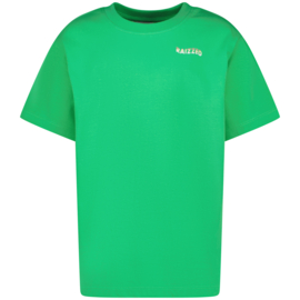 Shirt RAIZZED BOYS Haw Irish fresh green