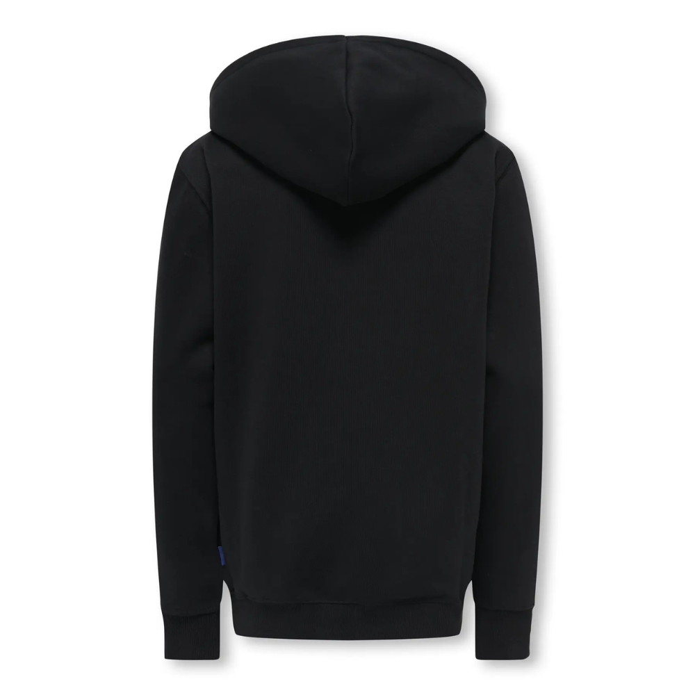 Hoodie ONLY&SONS osjcurated zwart