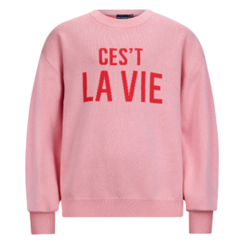 Trui RETOUR Elsa charm pink