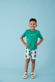Shirt STURDY explore more groen 71700473