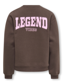Sweater ONLY Vicky braken