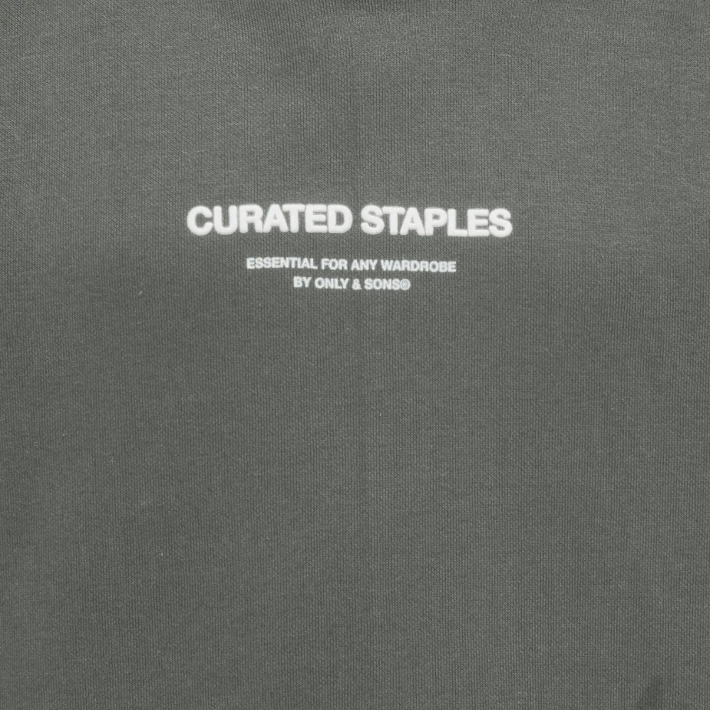 Hoodie ONLY&SONS osjcurated grijs