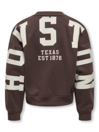 Trui SWEAT L/S BACK/SLEEVE PRINT NOOS coffee bean