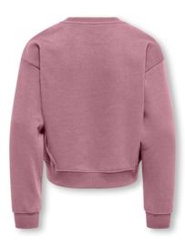 Trui SWEAT LS CREW NOOS foxglove