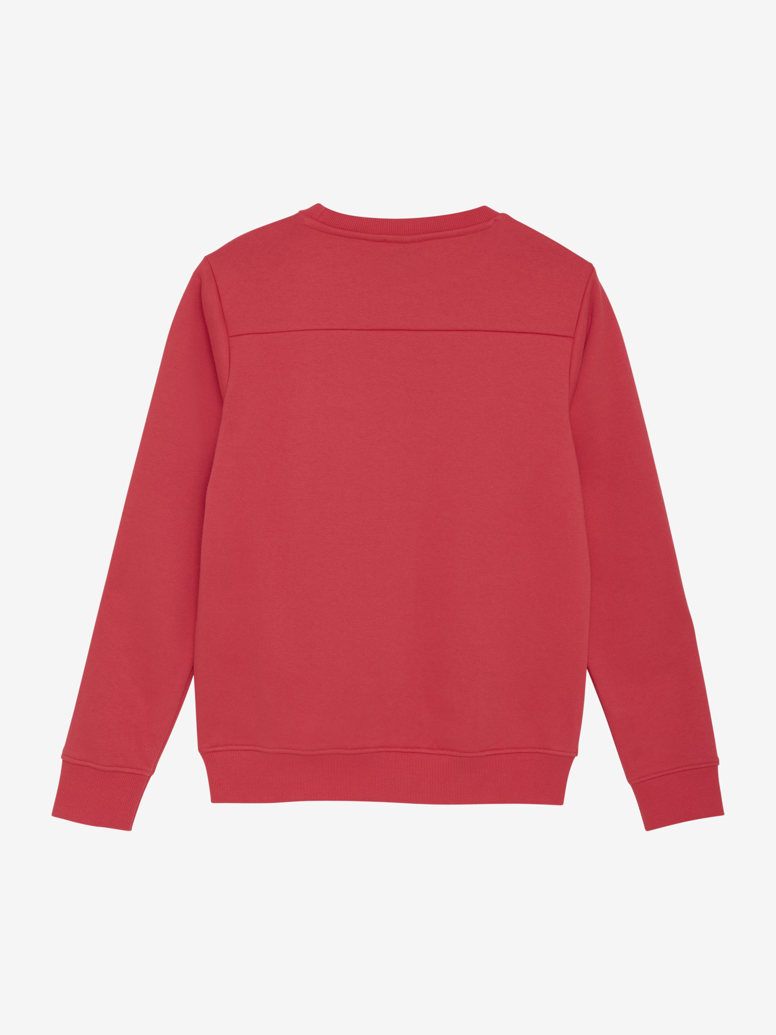 Sweater IBJ boys hibiscus red 960351