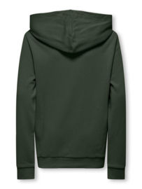 Hoodie ONLY&SONS Jake green