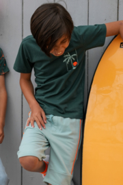 Shirt TYGO&VITO Dylan 6430 storm green