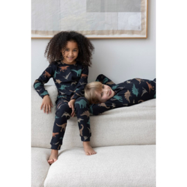 Premium pyjama FEETJE Davy Dino