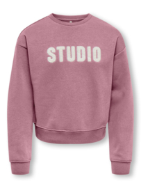 Trui SWEAT LS CREW NOOS foxglove