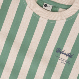 Sweater DAILY7 stripe slate green 920034