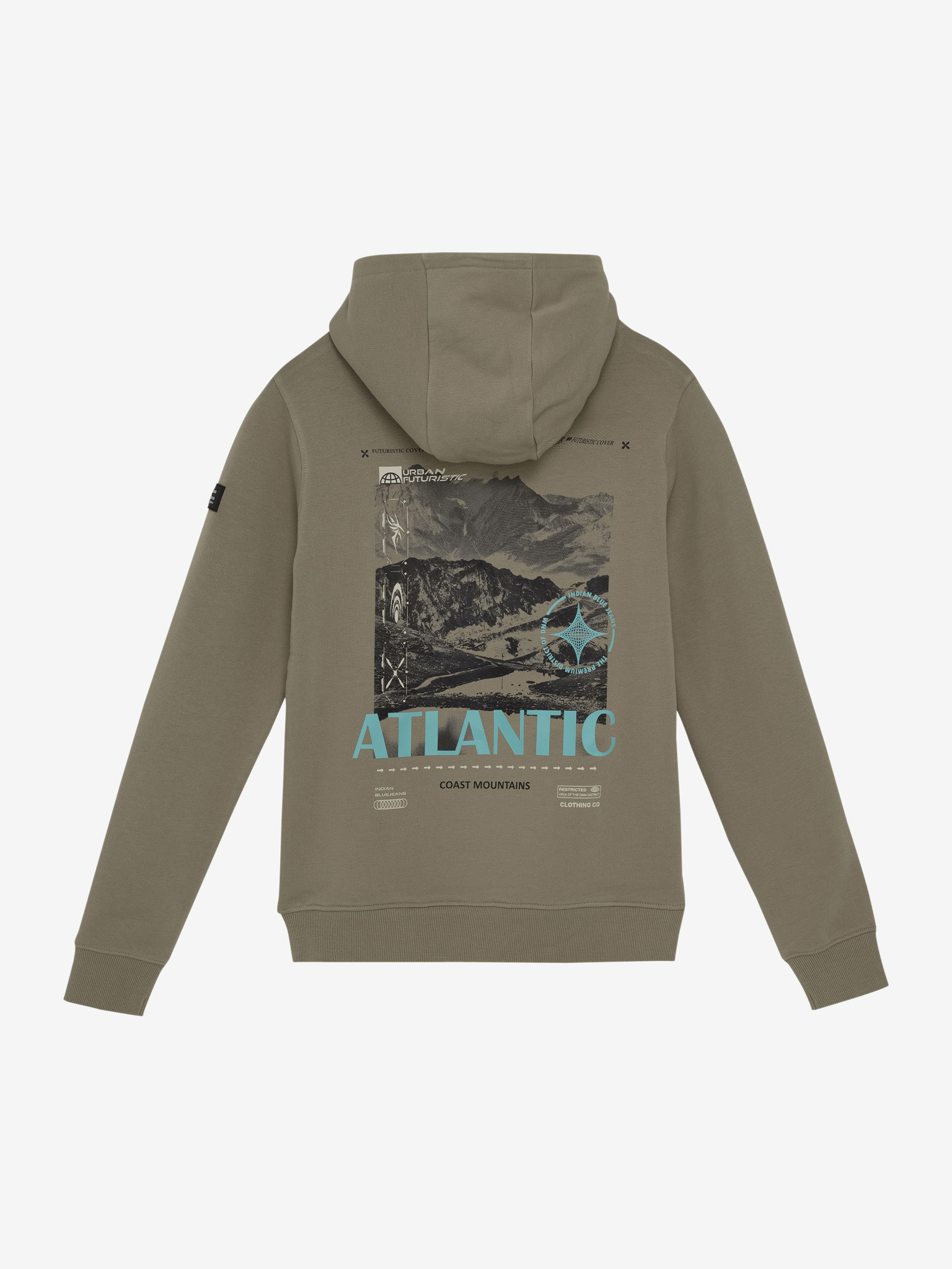 Hoodie IBJ boys timber wolf 960370