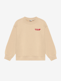 Oversized sweater DAILY7 BOYS back print ginger root 920396