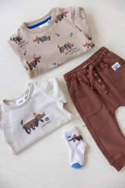 Sweater Feetje Go Fetch zand aop 51602469