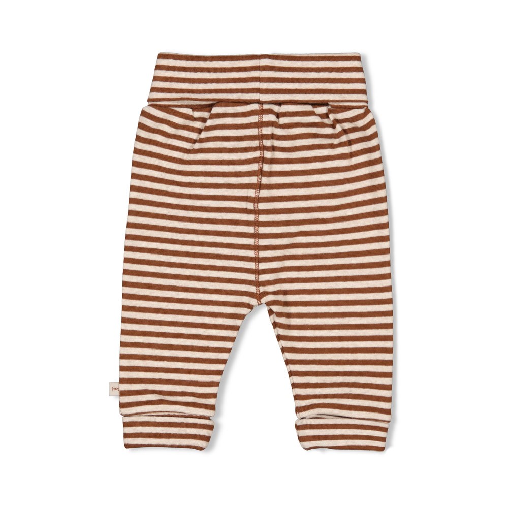 Broek FEETJE wild world bruin 52202420