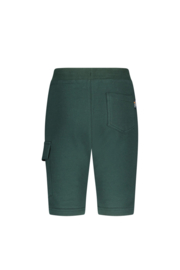 Sweat short TYGO&VITO Bruce 6623 storm green