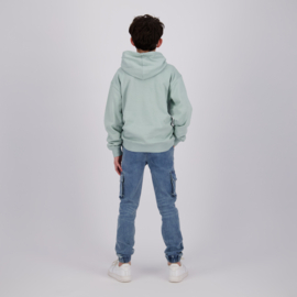 Hoodie RAIZZED BOYS Norman grey mist