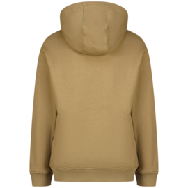 Hoodie RAIZZED BOYS Nuevo oka brown