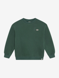 Oversized sweater DAILY7 BOYS basic jungle green 920398
