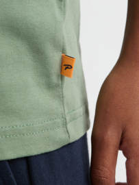 Shirt PETROL B-1060-TSR676 sage