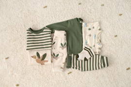 Longsleeve FEETJE wiggle and waddle 51602838 groen