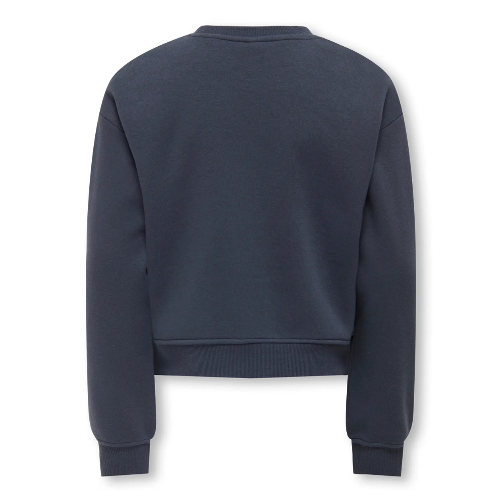 Sweater ONLY kogsweat blauw