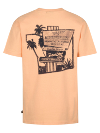 Shirt PETROL B-1060-TSR649 tropical orange