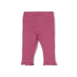 Legging FEETJE afternoon tea rib 52202586 berry