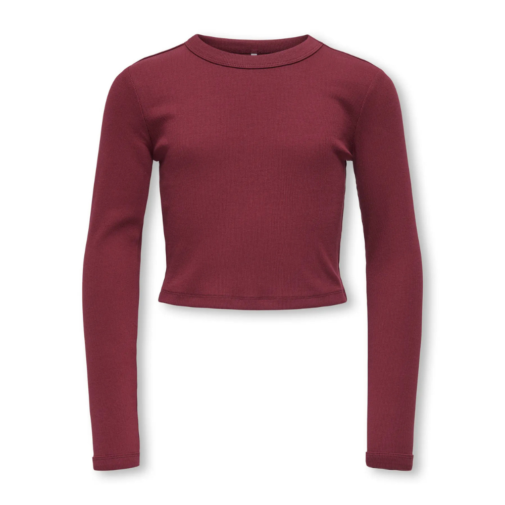Short longsleeve ONLY kogbina bordeaux