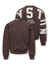 Trui SWEAT L/S BACK/SLEEVE PRINT NOOS coffee bean