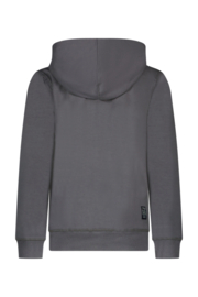 Hoodie TYGO&VITO hugo 6303 grey