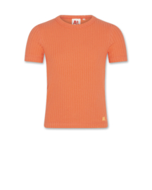 Shirt  AO76 emi coral