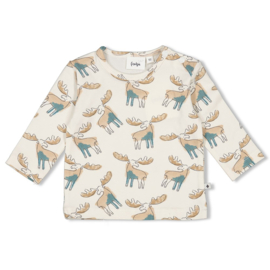 Longsleeve Feetje Camp Wilderness aop 51602477