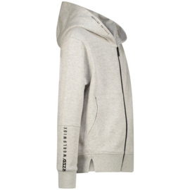 Vest RAIZZED BOYS Ortez light grey melee