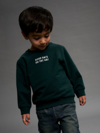 Sweater NAME IT boys Slade groen