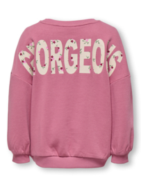 Sweater ONLY mini Georgia rose