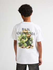 Shirt PETROL B-1060-TSR654 bright white