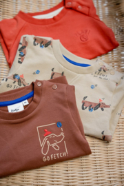 Sweater Feetje Go Fetch brique 51602474