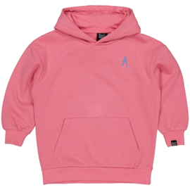 Hoodie HOUSE OF ARTISTS pink