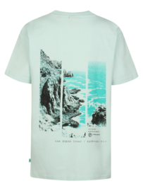 Shirt PETROL B-1060-TSR693 cool mint