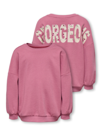 Sweater ONLY mini Georgia rose