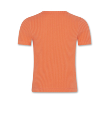 Shirt  AO76 emi coral