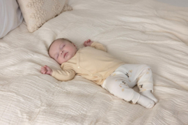 Overslagshirt FEETJE special delivery creme 51602503