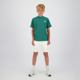 Shirt RAIZZED boys Hepic Jazlin green (R126KB300072-1476)