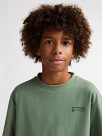 Shirt PETROL B-1060-TSR676 sage