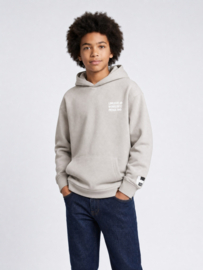 Sweater PETROL hooded print B-3060-SWH352 ice grey