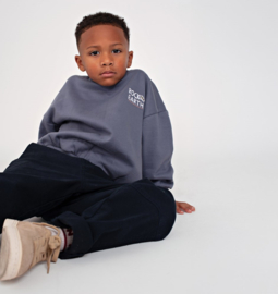 Sweater STURDY rock the earth backprint blauw 71600682