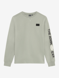 Longsleeve IBJ BOYS dust green 960746
