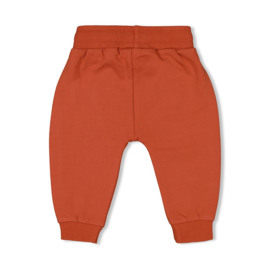 Broek Feetje Go Fetch brique 52202267
