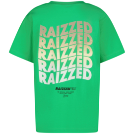 Shirt RAIZZED BOYS Haw Irish fresh green