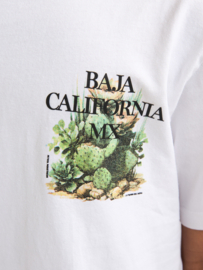 Shirt PETROL B-1060-TSR654 bright white